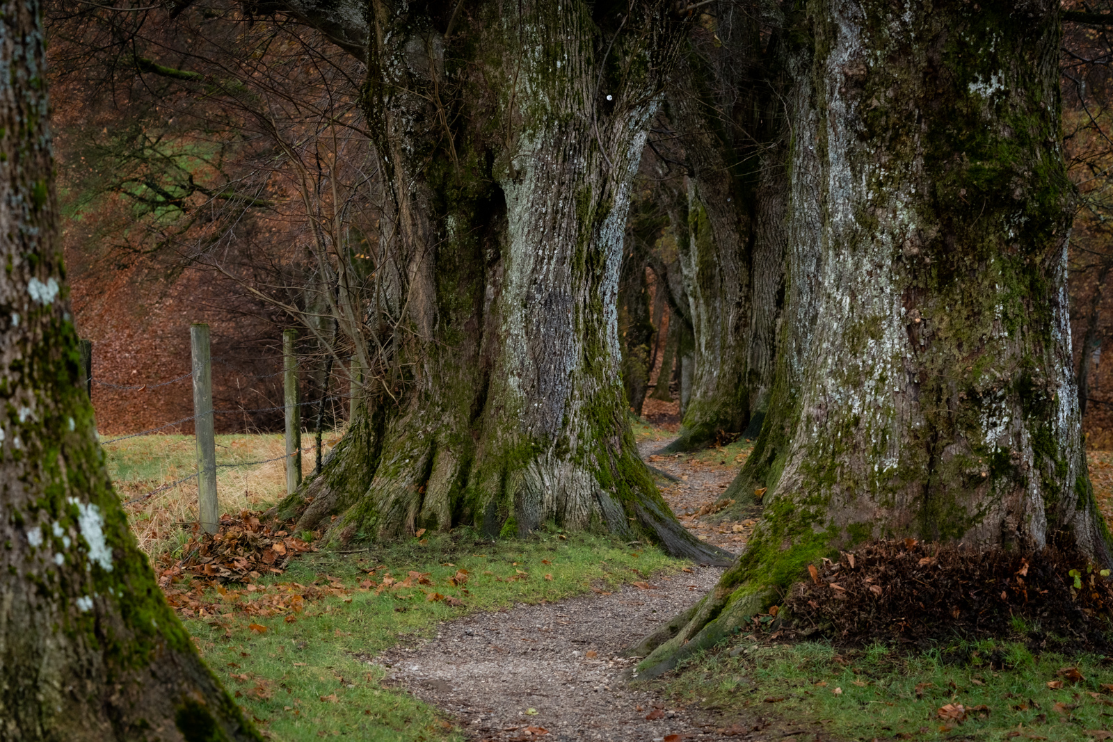 Landschaftsfotografie aus Deutschland